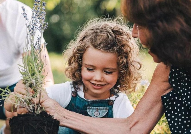 Photo of two grandparents gardening with a young child.